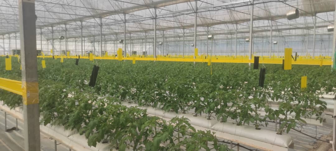 Famenin Greenhouse Complex